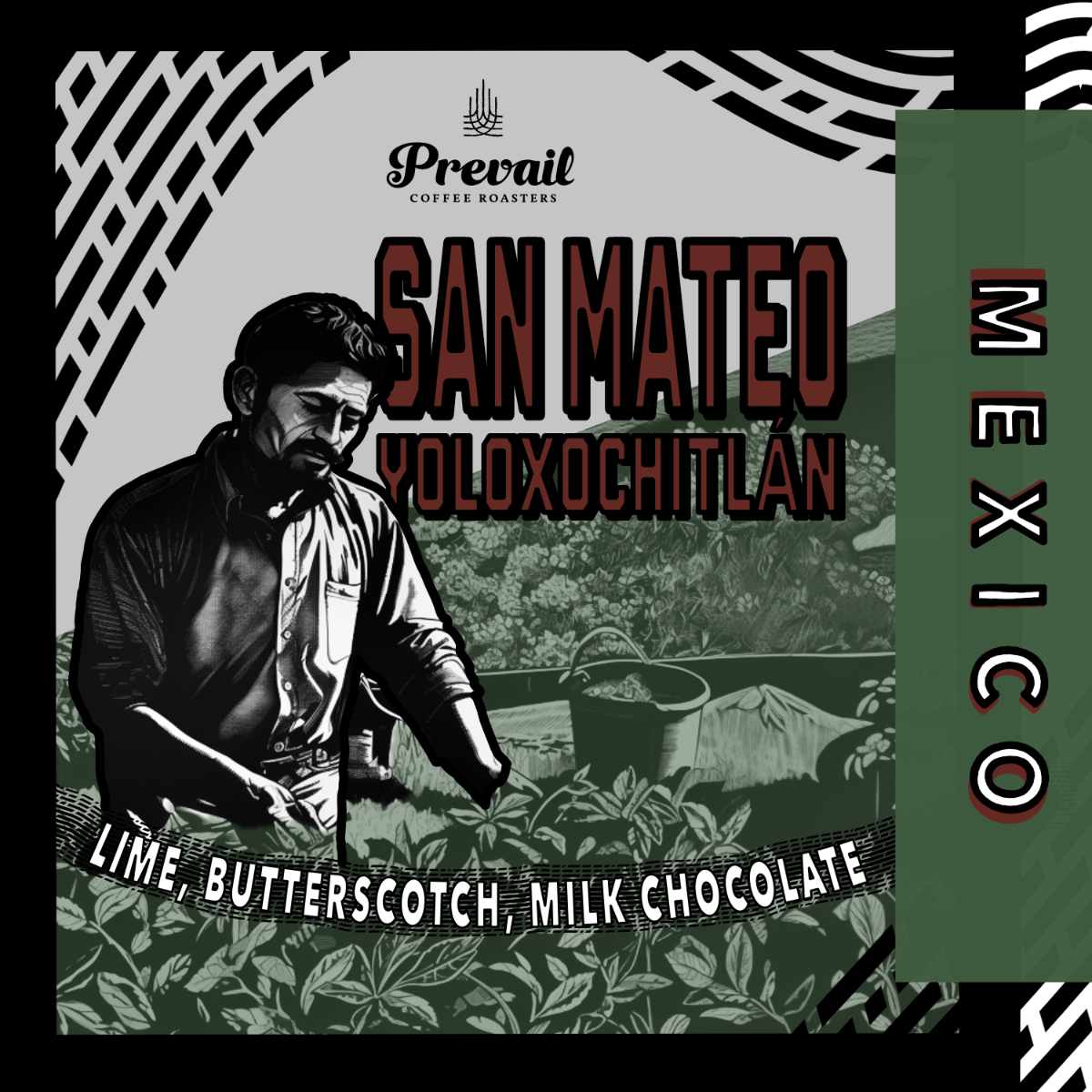 San Mateo | Mexico | Limited Release | 8oz