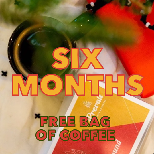GIFT A MONTHLY SUBSCRIPTION (6 MONTHS - ✨one free bag!)