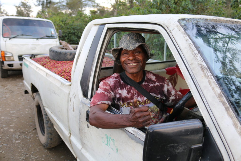 Papua New Guinea | Sigri Peaberry